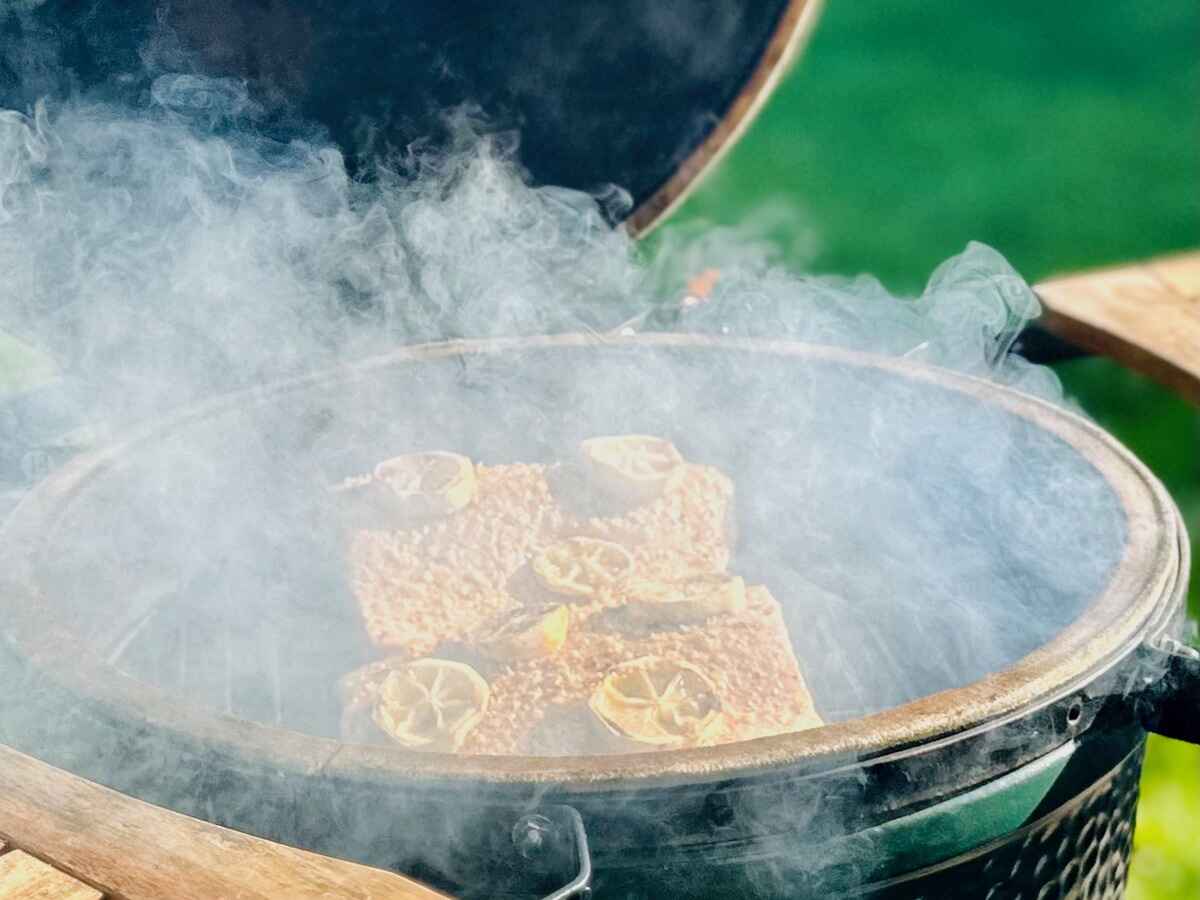 Big green Egg zalm roken