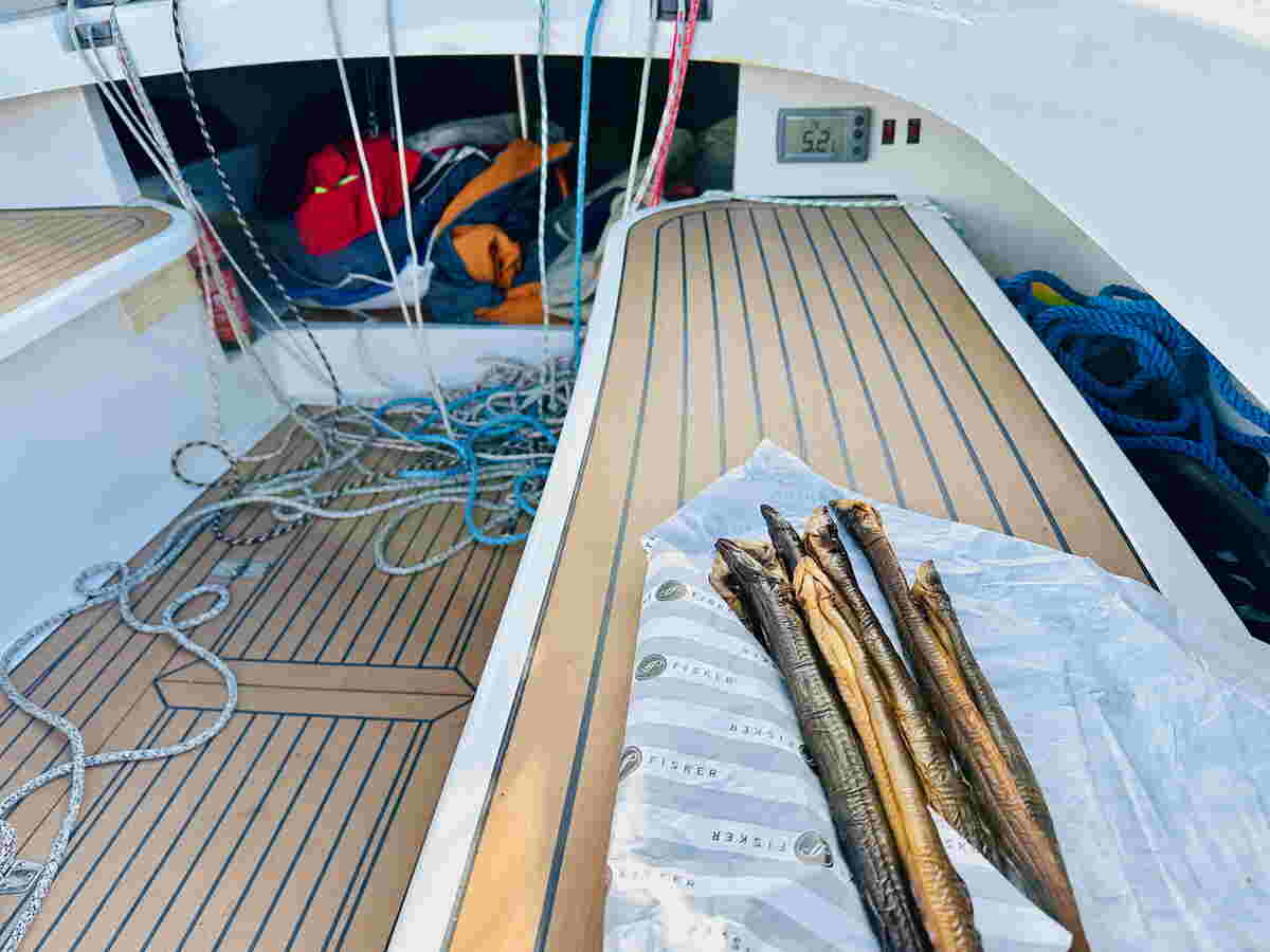 Paling halen met de boot